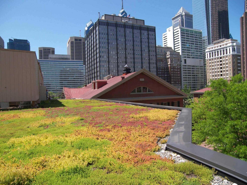 paysagiste-TAVERNES-min_green-roof-portfolio-4